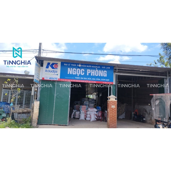 Thi Công BIển Hiệu Alu Chữ Nổi Mica Cho Hệ Thống Koudijs