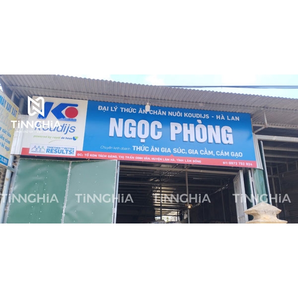 Thi Công BIển Hiệu Alu Chữ Nổi Mica Cho Hệ Thống Koudijs